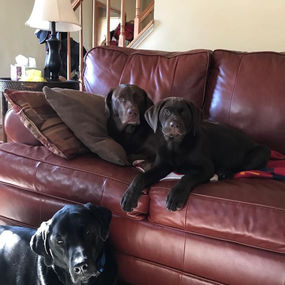 Meet your Posher, Marla